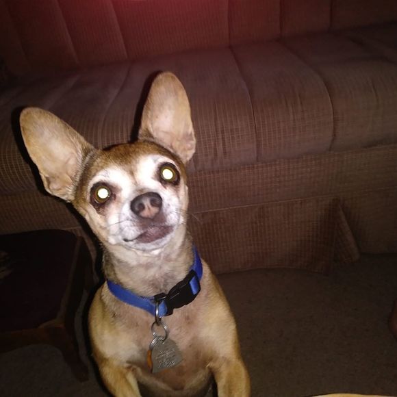 Meet your Posher, Charles - Picture 1 of 1